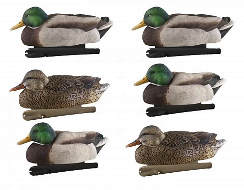 Комплект AVIAN-X полноразмерных чучел кряквы Late Season Topflight Mallards